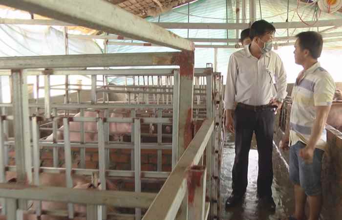  Sóc Trăng hướng đến mô hình chăn nuôi an toàn sinh học (11-05-2021)